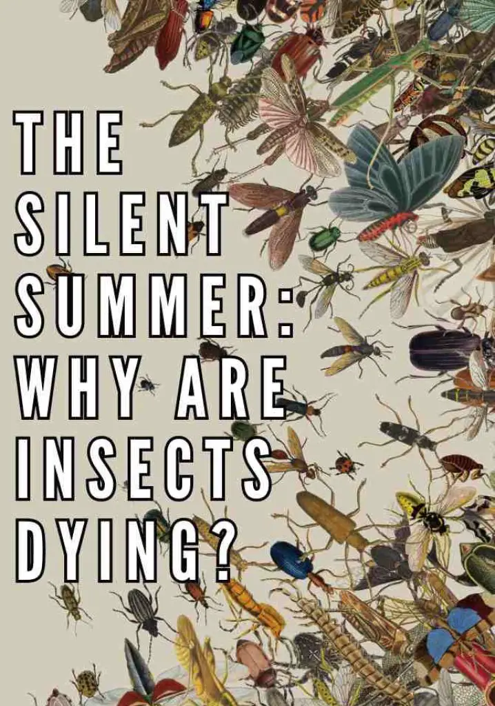 The Silent Summer: Why are Insects Dying? (2019) | Full Documentary