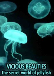 Vicious Beauties: The Secret World of the Jellyfish (2010) | Full Documentary