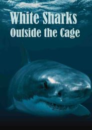 White Sharks Outside the Cage (2001) | Full Documentary