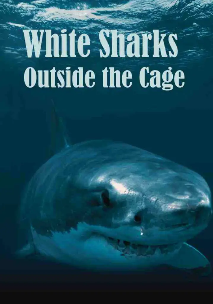 White Sharks Outside the Cage (2001) | Full Documentary