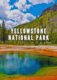 Yellowstone National Park (2020) | Full Documentary