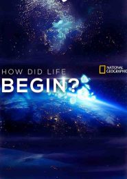 How Did Life Begin (2009) | Full Documentary