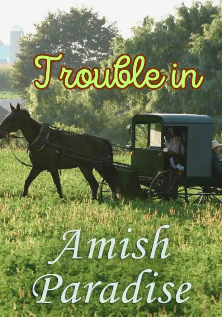 Trouble in Amish Paradise (2009) | Full Documentary